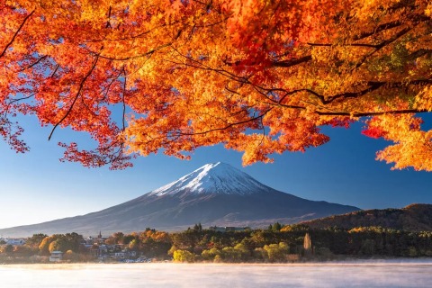 3 điều đừng bỏ lỡ nếu du lịch Nhật mùa thu 2023