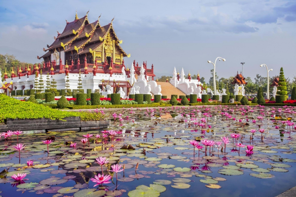 Mát xa tại chùa, trải nghiệm hút khách ở Thái Lan