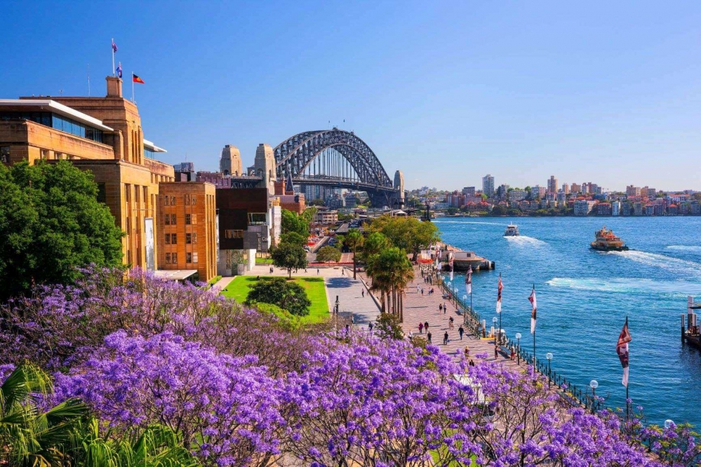 7 nơi ngắm hoa phượng tím ở Australia