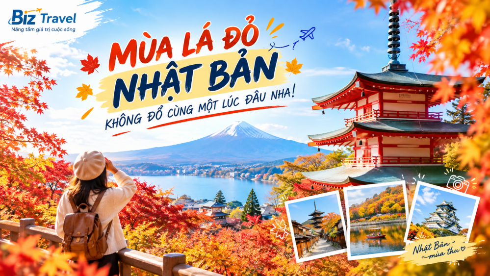Mùa lá đỏ Nhật Bản khi nào đi thì đúng dịp, đúng thời điểm đẹp nhất ngắm trọn mùa thu