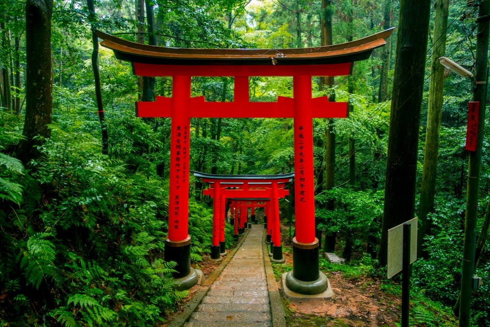 Cẩm nang du lịch Kyoto năm 2023
