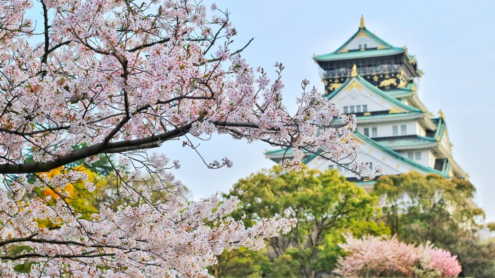 Tour NHẬT BẢN (KIX - NRT) mùa anh đào 2024: OSAKA – KYOTO – PHÚ SĨ – TOKYO