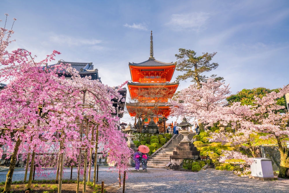 Tour NHẬT BẢN (KIX - HND) mùa anh đào 2024: OSAKA – KOBE – KYOTO – PHÚ SĨ – TOKYO