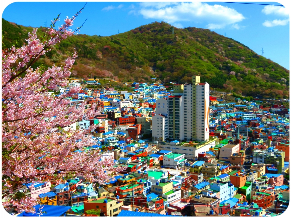 Tour HÀN QUỐC mùa anh đào: BUSAN– CỐ ĐÔ GYEONGJU- SEOUL