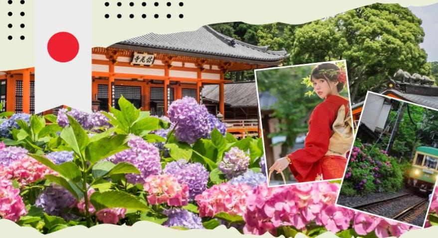 Tour du lịch Nhật Bản 5N4Đ - Cung đường vàng mùa hè Hà Nội - Tokyo -  Phú Sĩ - Kyoto - Osaka NOSHOPPING