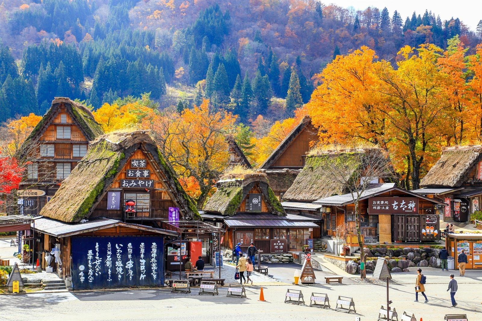 Tour NHẬT mùa thu 2024 bay VN: SHIRAKAWAGO – KUROBE KYOKOKU - PHÚ SĨ - TOKYO