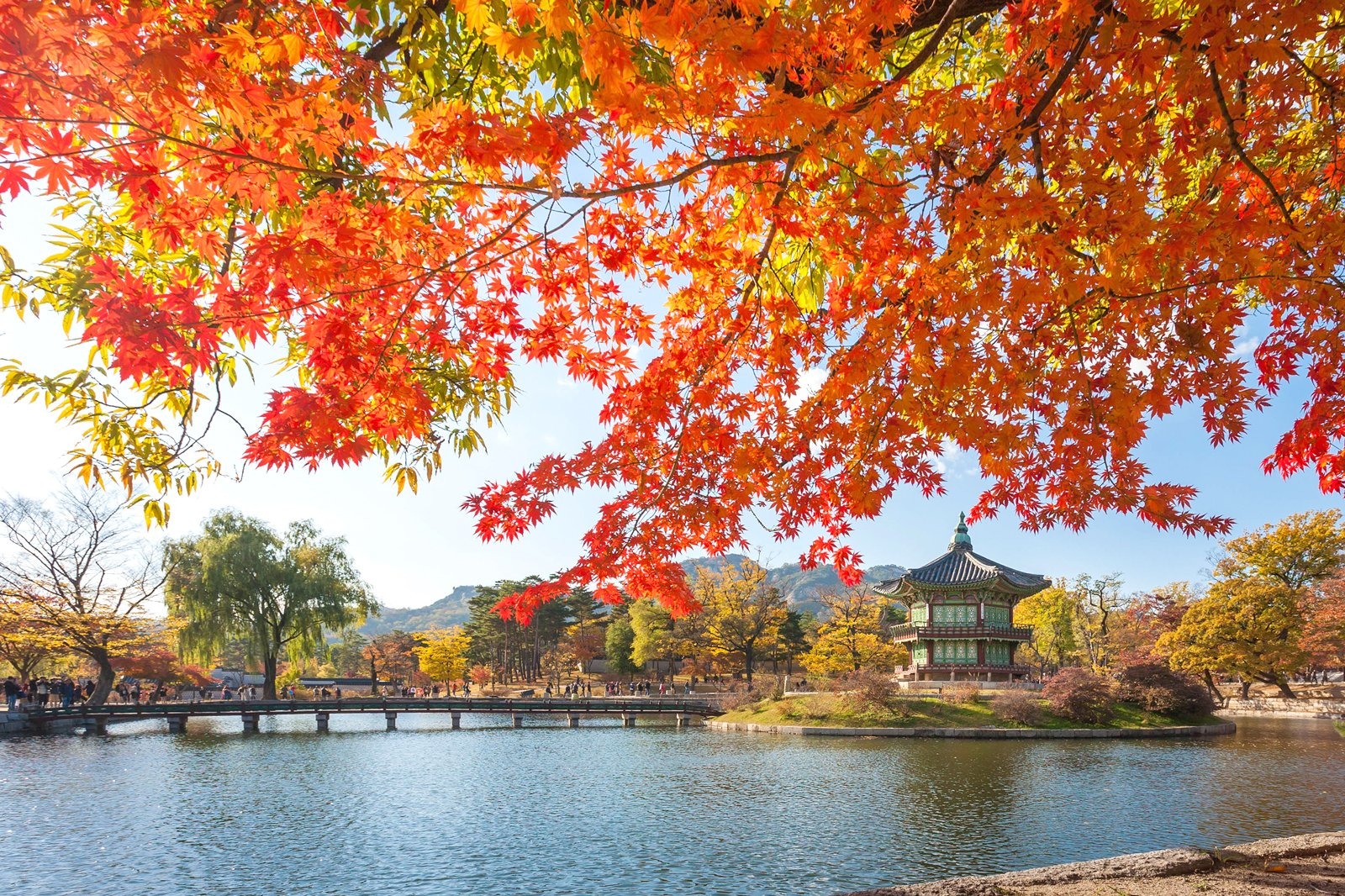 Tour HÀN QUỐC: SEOUL - NAMI - EVERLAND mùa lá vàng lá đỏ 2023