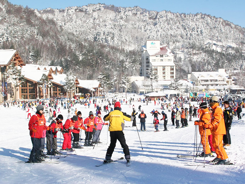 Khám phá sứ xở kim chi Hà Nội - Seoul - Khu trượt tuyết Yangi Pine - Nami - Hà Nội
