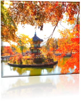 Tour SEOUL – EVERLAND – NAMI mùa thu 2025 - Jeju Air