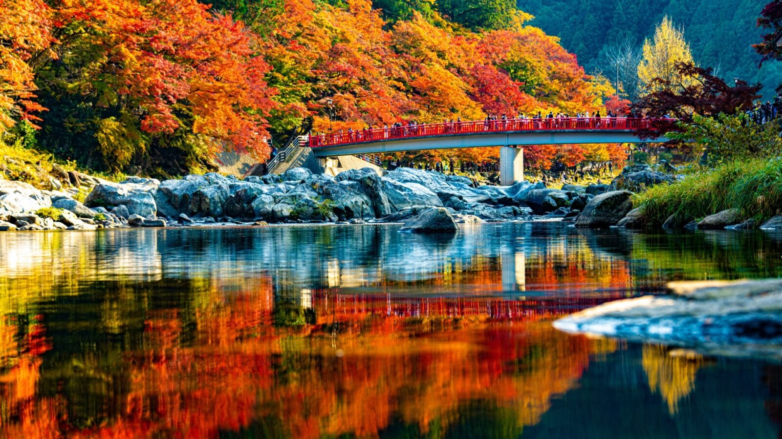 Tour Nhật Bản mùa thu 2025: –NARA-OSAKA –KYOTO –NAGOYA –NÚI PHÚ SĨ -TOKYO